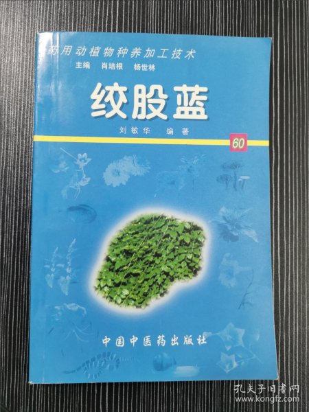 绞股蓝——药用动植物种养加工技术