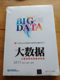 大数据：从基础理论到最佳实践