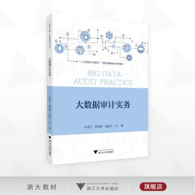 大数据审计实务