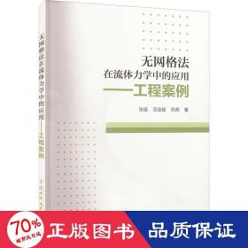 无网格法在流体力学中的应用——工程案例