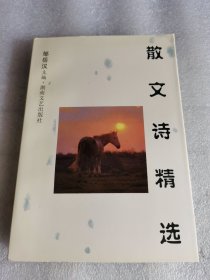 散文诗精选:1993-1998