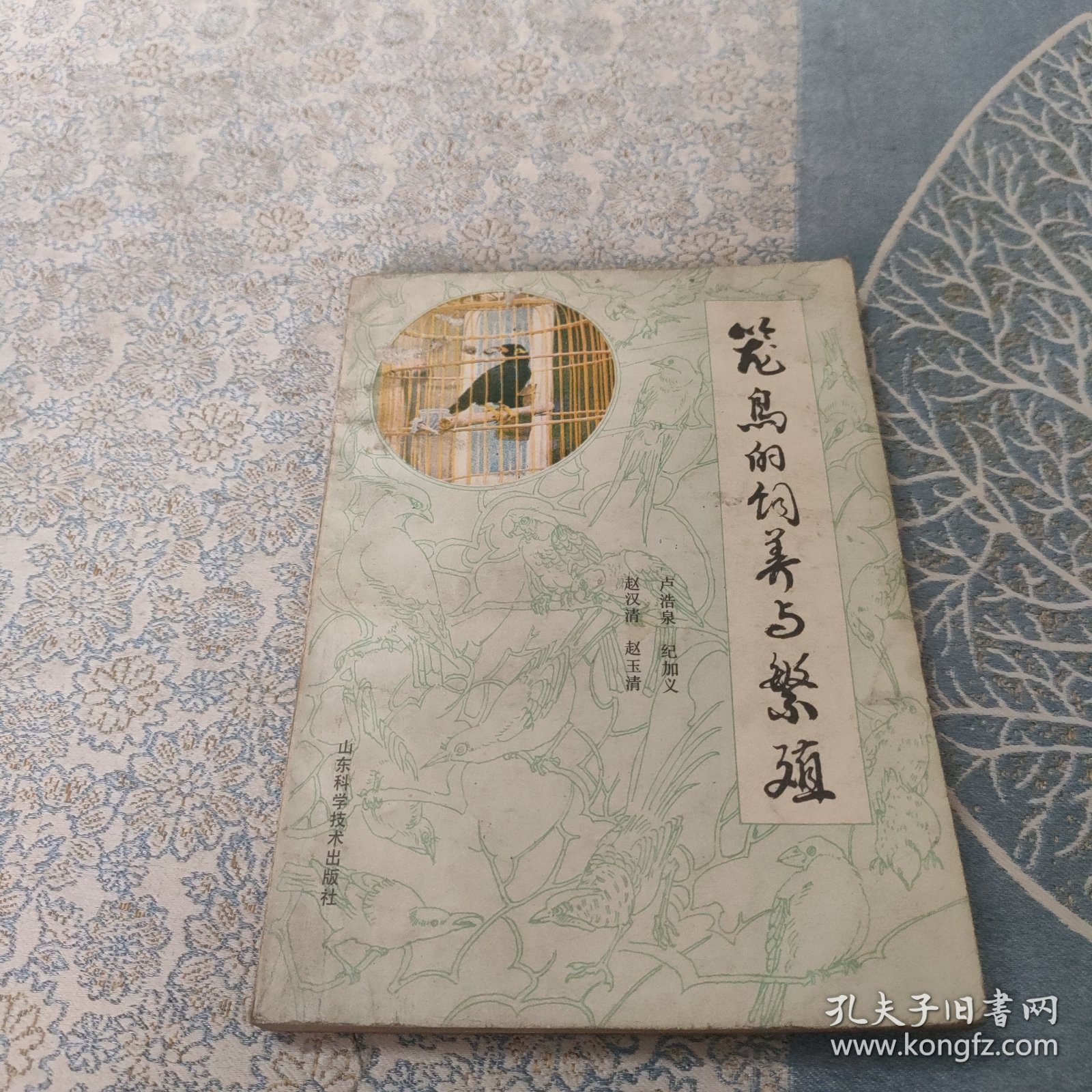 笼鸟的饲养与繁殖