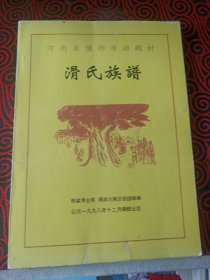 河南省偃师市游殿村滑氏族谱