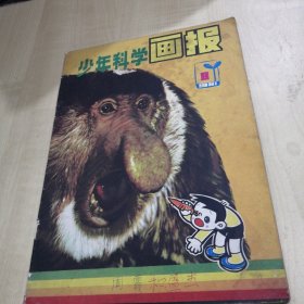 少年科学画报 1981年8