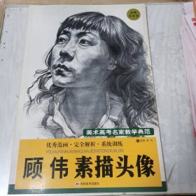 美术高考名家教学典范顾伟素描头像