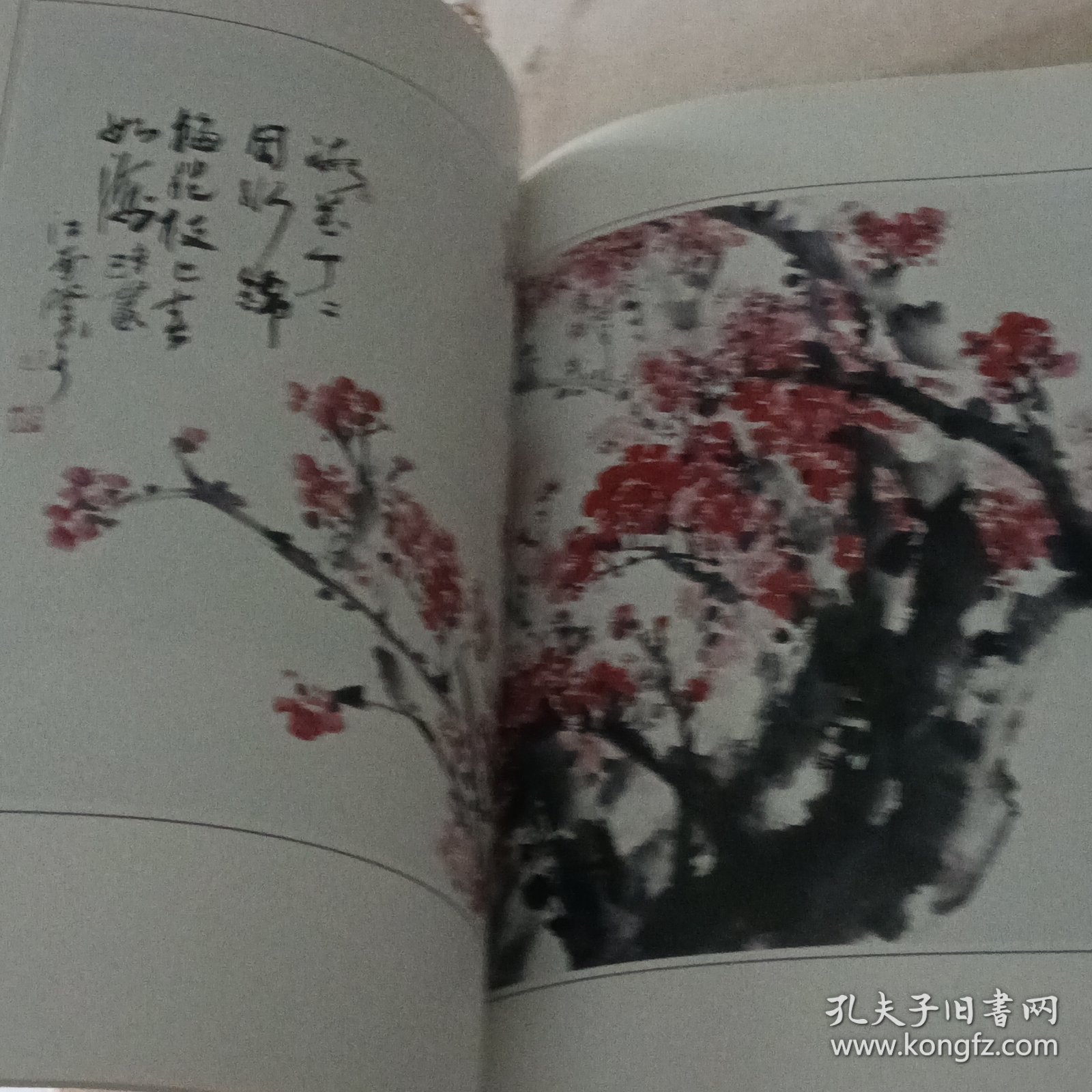 徐贤佩写意花鸟画