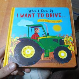 when l grow up l want to drive