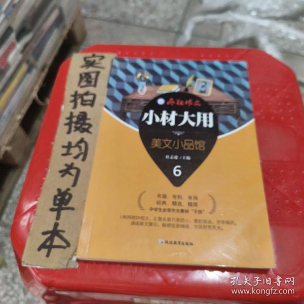 疯狂作文 小材大用6·美文小品馆--天星教育