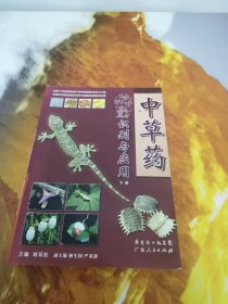 中草药识别与应用（下册）