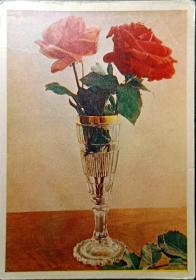 苏联明信片，1957年玫瑰彩色明信片