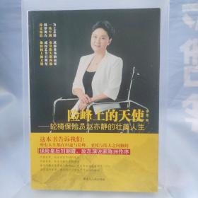 险峰上的天使 轮椅保险员赵亦静的壮美人生 未翻阅
