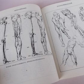 人体素描（人体骨架的细节，外形轮廓和立体模型的关系，骨骼和肌肉，，透视和明暗，人体的切面方法，描绘人体的步骤方法，直立人体画法，人体运动，转动和扭动，头手足画法结构等等）