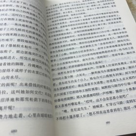 名著精译：飘（下册文联无删减全译本经典世界名著）