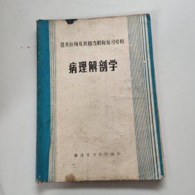 病理解剖学