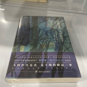 白天的房子，夜晚的房子：讲述一座边境小城千年故事的碎片化小说