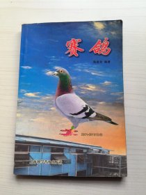 赛鸽