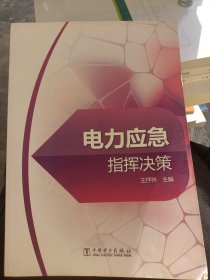 電力應急指揮決策