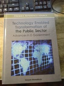 Technology Enabled Transformation of the Public Sector: Advances in E-Government协作和语义网：社会网络、知识网络、知识资源