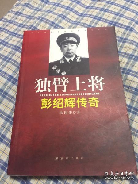 独臂上将：彭绍辉将军传奇（解放军第七军军长）