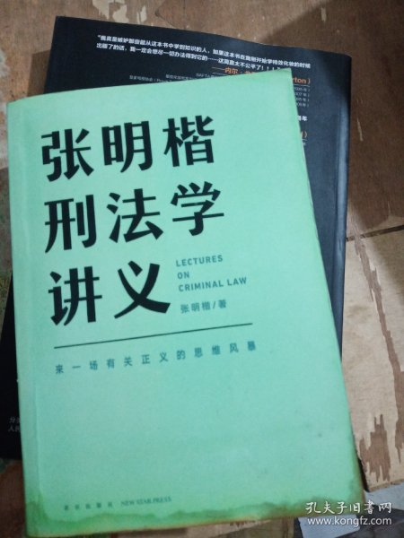 张明楷刑法学讲义（来一场有关正义的思维风暴）