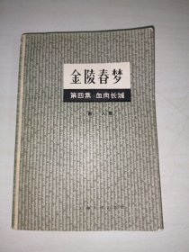 金陵春梦第四集