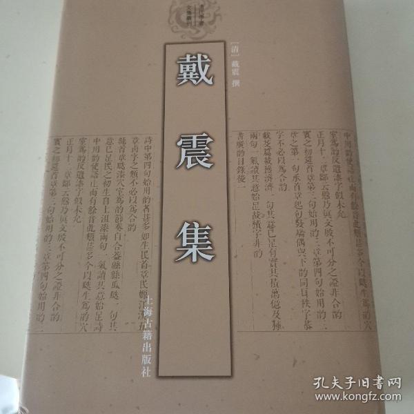 戴震集：清代学者文集丛刊