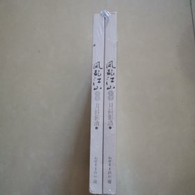 凤乱江山（上、下册）