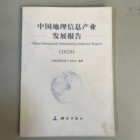 中国地理信息产业发展报告——2020