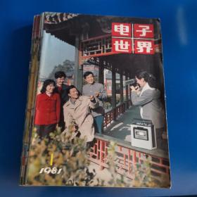 电子世界1981年1-12期（12册合售）详情见图
