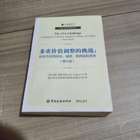 多重价值调整的挑战：对手方信用风险、融资、抵押品和资本(第三版)