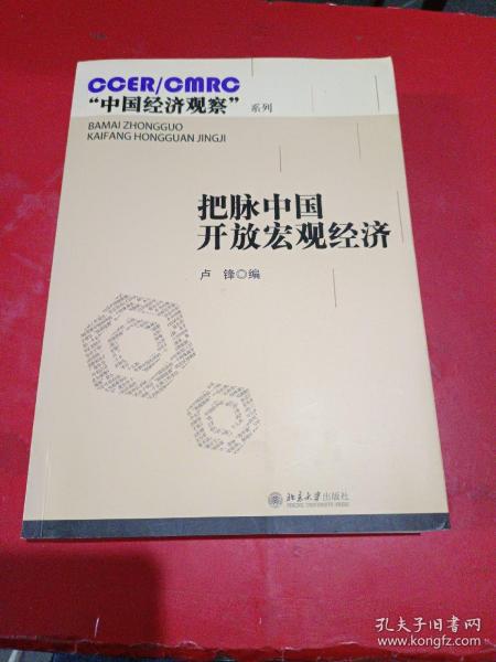 把脉中国开放宏观经济  一版一印