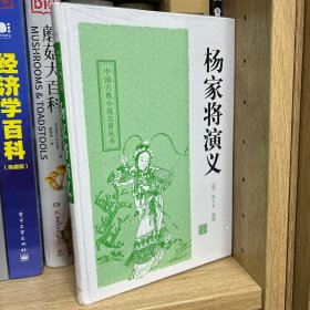 中国古典小说名著丛书：杨家将演义