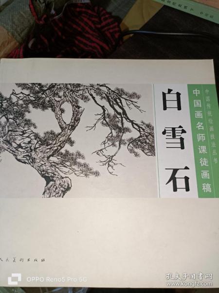 中国画名师课徒画稿：白雪石（12开平装现货）