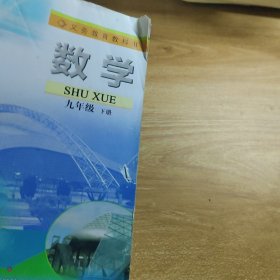 数学. 九年级. 下册