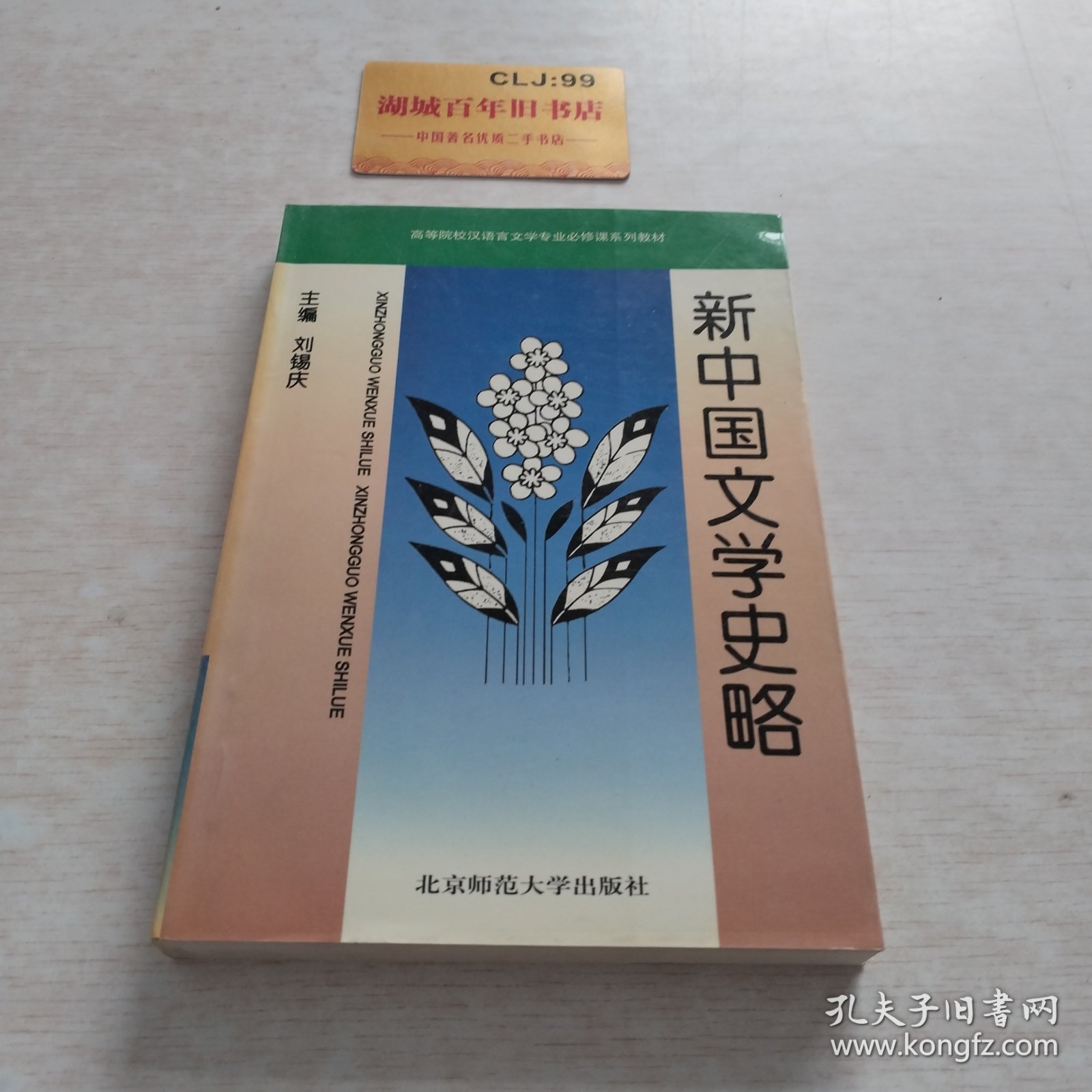 新中国文学史略