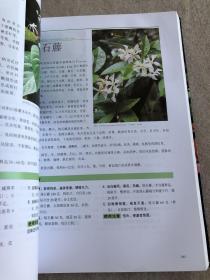 实用中草药图典