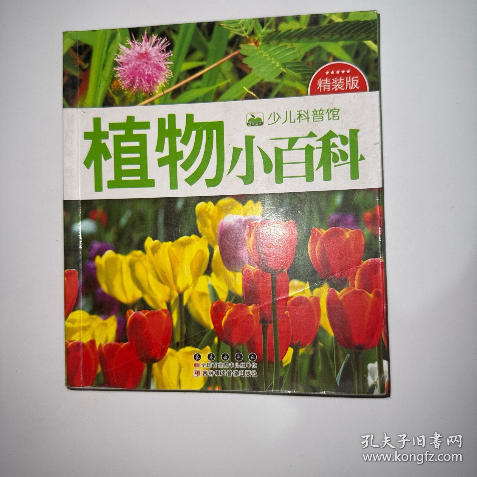 晨风童书 少儿科普馆