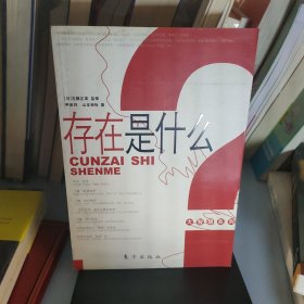 存在是什么