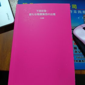 下流社会：一个新社会阶层的出现