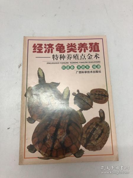 经济龟类养殖/特种养殖点金术丛书