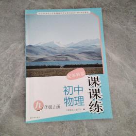 课课练. 初中物理. 九年级. 上册