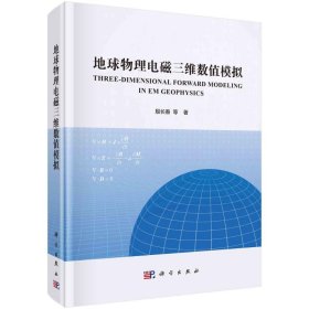 地球物理电磁三维数值模拟