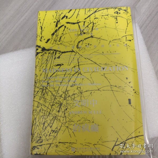 甲骨文丛书·文明中的疯癫：一部关于精神错乱的文化史