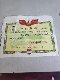 毕业证书 旅大市枫林小学