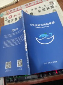 2021年注册会计师全国统一考试辅导用书 公司战略与风险管理 真题挖坑诀窍的超级攻略