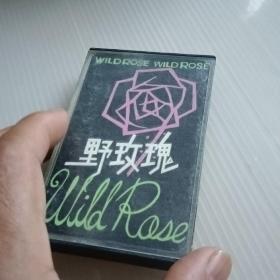 磁带 野玫瑰