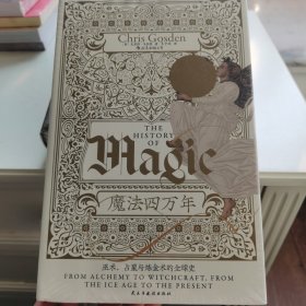 智慧宫丛书017·魔法四万年：克里斯·戈斯登著  《耶路撒冷三千年》作者西蒙·蒙蒂菲奥里倾情推荐 巫术、占星与炼金术的全球史