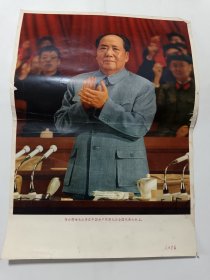 伟大领袖毛主席在中国共产党第九次全国代表大会上（宣传画）