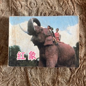连环画：红象