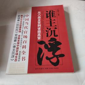 谁主沉浮1：从八品乡官到省级高官